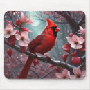 Suche nach kardinal mousepads Natur
