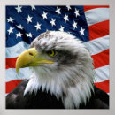 Suche nach american eagle poster Usa