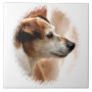 Suche nach russell fliesen Haustier