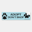 Suche nach katzen adoption autoaufkleber Adoptieren sie