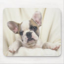 Suche nach genannt mousepads Hund