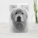 Suche nach große pyrenäen karten Fotografie