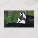 Suche nach schlittenhund visitenkarten Huskies