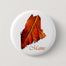 Suche nach maine buttons Herbst