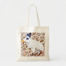 Suche nach kaninchens taschen Für haustiere