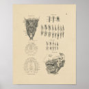 Suche nach zahnmedizinisch poster Anatomie
