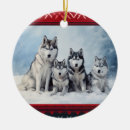 Suche nach siberian husky ornamente Welpe