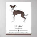 Suche nach italienischer windhund poster Niedlich