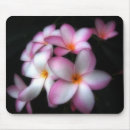 Suche nach frangipani mousepads Plumeria