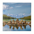 Suche nach versailles fliesen Paris
