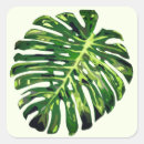 Suche nach exotic aufkleber Tropisch