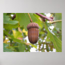 Suche nach acorn poster Herbst
