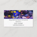 Suche nach aquarien Jede person