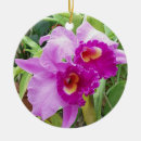Suche nach lila orchidee ornamente Jede person