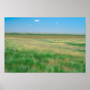 Suche nach grasland poster Feld