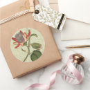 Suche nach vintage botanische drucke aufkleber Vintag botanisch