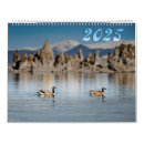 Suche nach flora kalender Blume