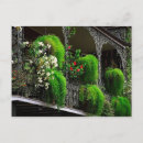 Suche nach new orleans postkarten Für sie/ihn