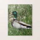 Suche nach grasen puzzle Jede person