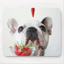 Suche nach der französischen bulldogge mousepads Haustier