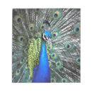 Suche nach federn notizblock Grün