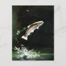 Suche nach regenbogenforelle postkarten Fliege