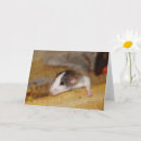 Suche nach niedliche ratte karten Jede person