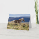 Suche nach laufendes pferd karten Wild