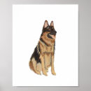 Suche nach portrait poster Hunde