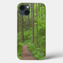Suche nach columbia river Wald