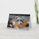 Suche nach weasel karten Tier