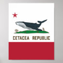 Suche nach cetacea Wale