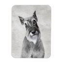 Suche nach salz magnete Salz und pfeffer