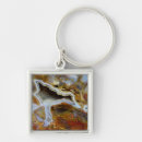 Suche nach fossil schlüsselanhänger Darrell gulin