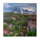 Suche nach draußen fliesen Ungebildet