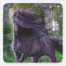 Suche nach schwarzes einhorn aufkleber Pferd