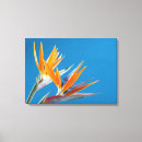 Suche nach paradiesvogel leinwandbilder Orange