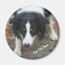 Suche nach collie magnete Niedlich