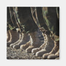 Suche nach afghanisch magnete Armee