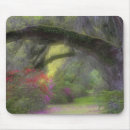 Suche nach azaleen mousepads Niemand