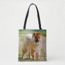 Suche nach chow chow taschen Haustiere