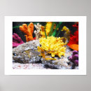 Suche nach gelbe fische poster Natur