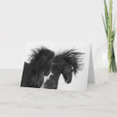 Suche nach schwarz weißes pferd karten Hengst