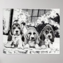 Suche nach basset hound poster Haustier