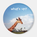 Suche nach giraffe magnete Dschungel