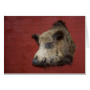 Suche nach boar postkarten Jagd