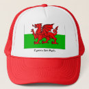 Suche nach st david tag Flagge