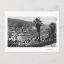 Suche nach avalon Catalina