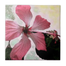 Suche nach sommer blumen fliesen Rosa