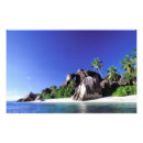 Suche nach seychellen poster Palmen